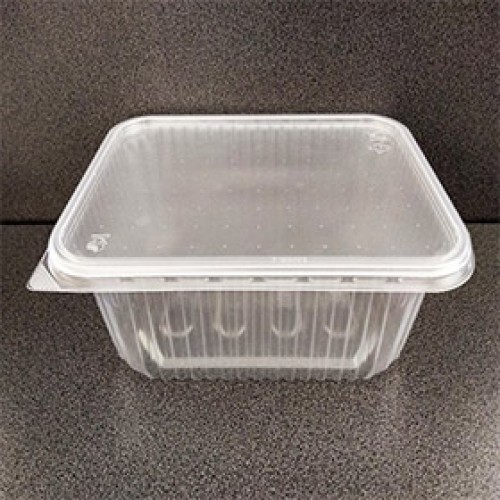 750 мл./100 шт. 179 Контейнер с крышкой, прямоугольный большой в мм. (179*132 глуб. 45) (арт. 100251)