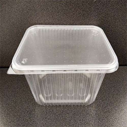 1000 мл./500 шт. с НДС 179 Контейнер с крышкой, прямоугольный большой в мм. (179*132 глуб. 60) (арт. 100254a)